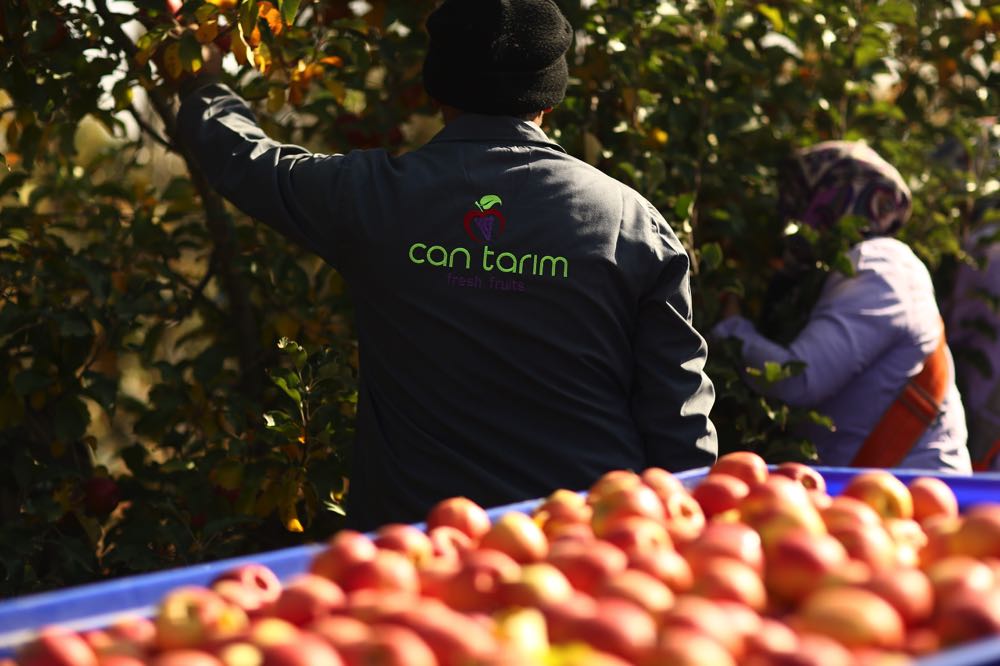 can-tarim-002